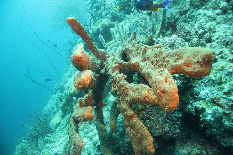 Curacao 04-12 110.JPG